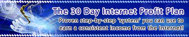 The 30 Day Internet Profit Plan